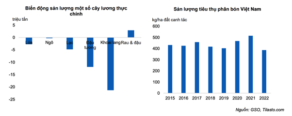 Biến động sản lương thực chính và sản lượng tiêu thụ phân bón Việt Nam